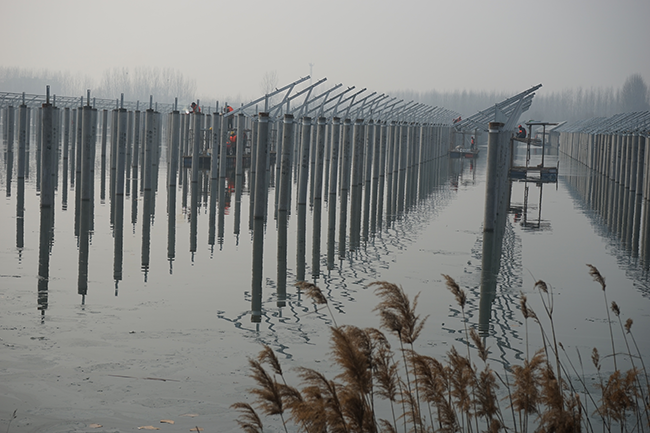 1548319970640700.png 133.png