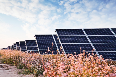 中國(guó)華能的“高性?xún)r(jià)比”光伏電站，妙招在這里！